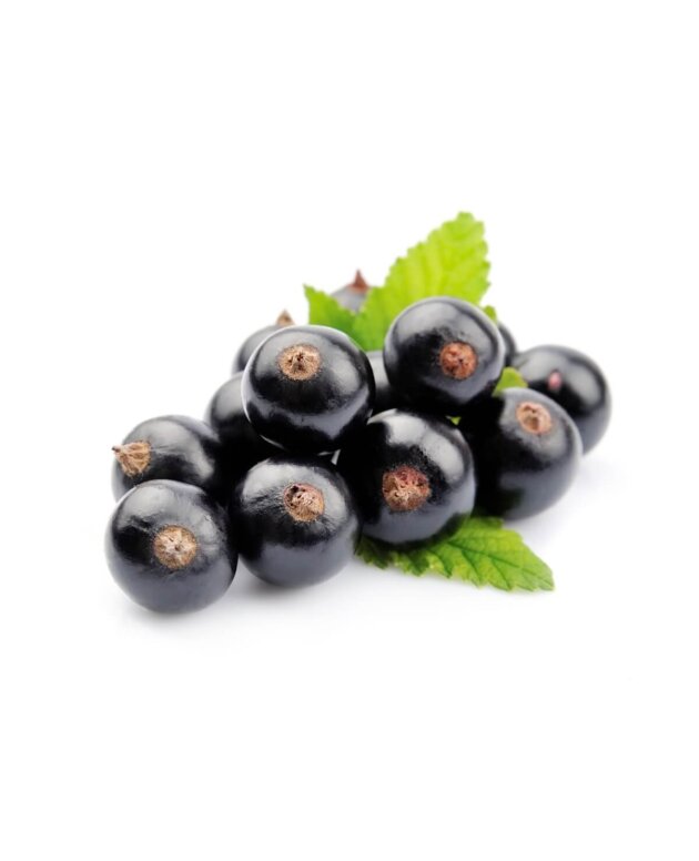 Blackcurrant
