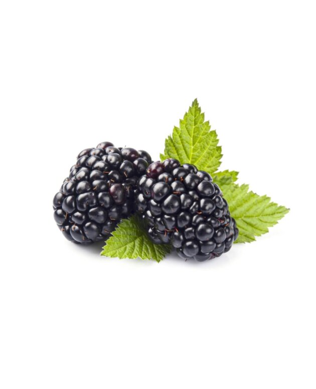 Blackberry