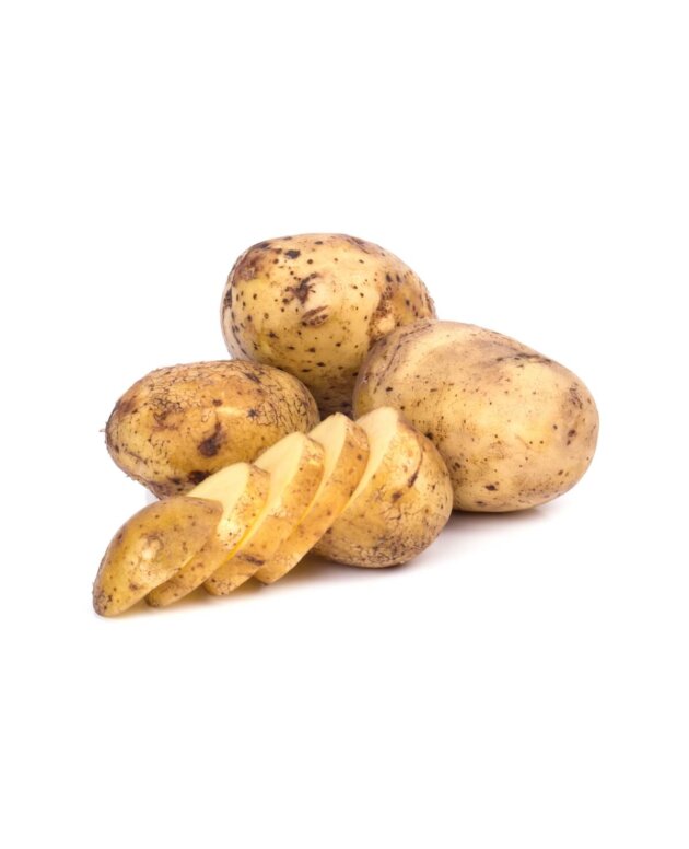 Potato