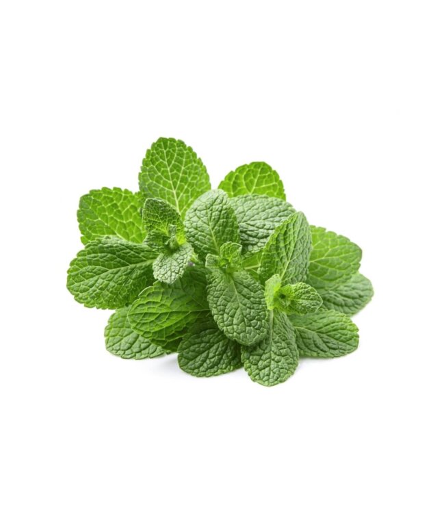 Mint