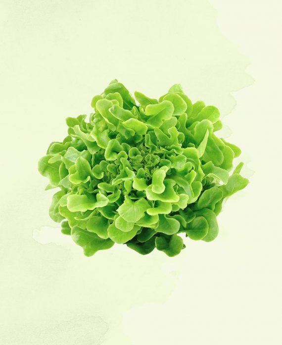 Category image